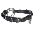 Caval Star Cavesson Bitless Noseband